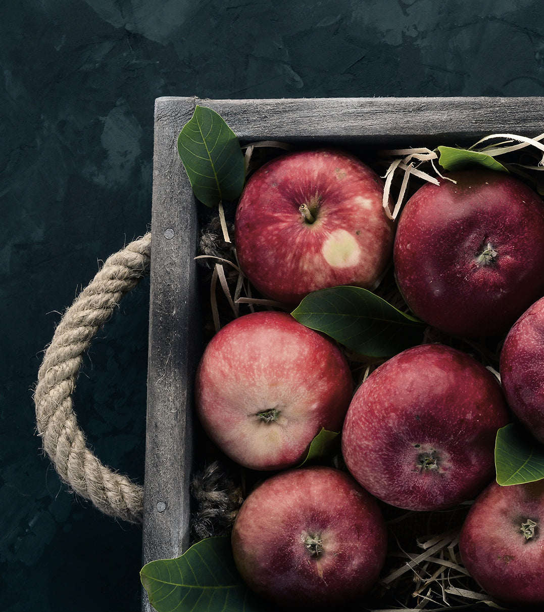 Canvastavla - Fresh Red Apples