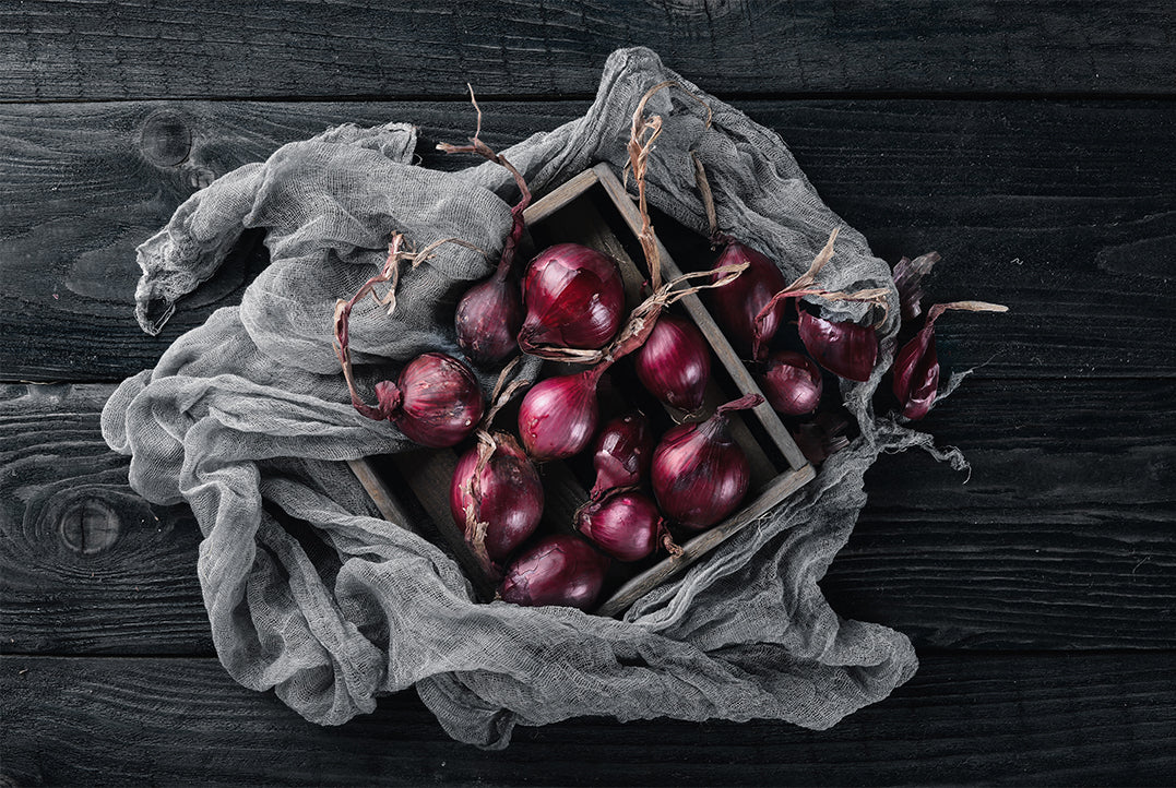 Canvastavla - Ripe onion