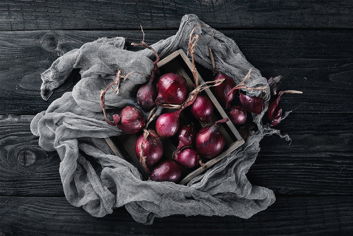 Canvastavla - Ripe onion