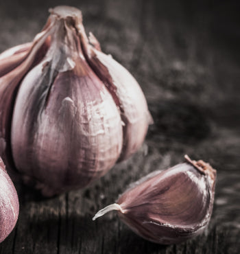 Canvastavlan - Garlic