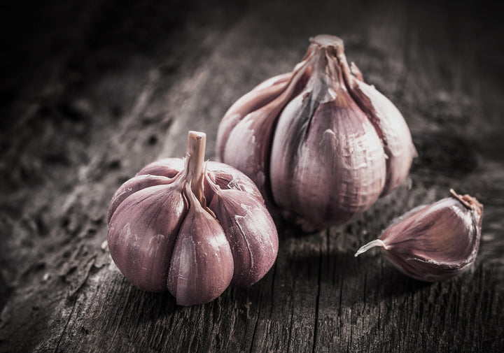 Canvastavlan - Garlic