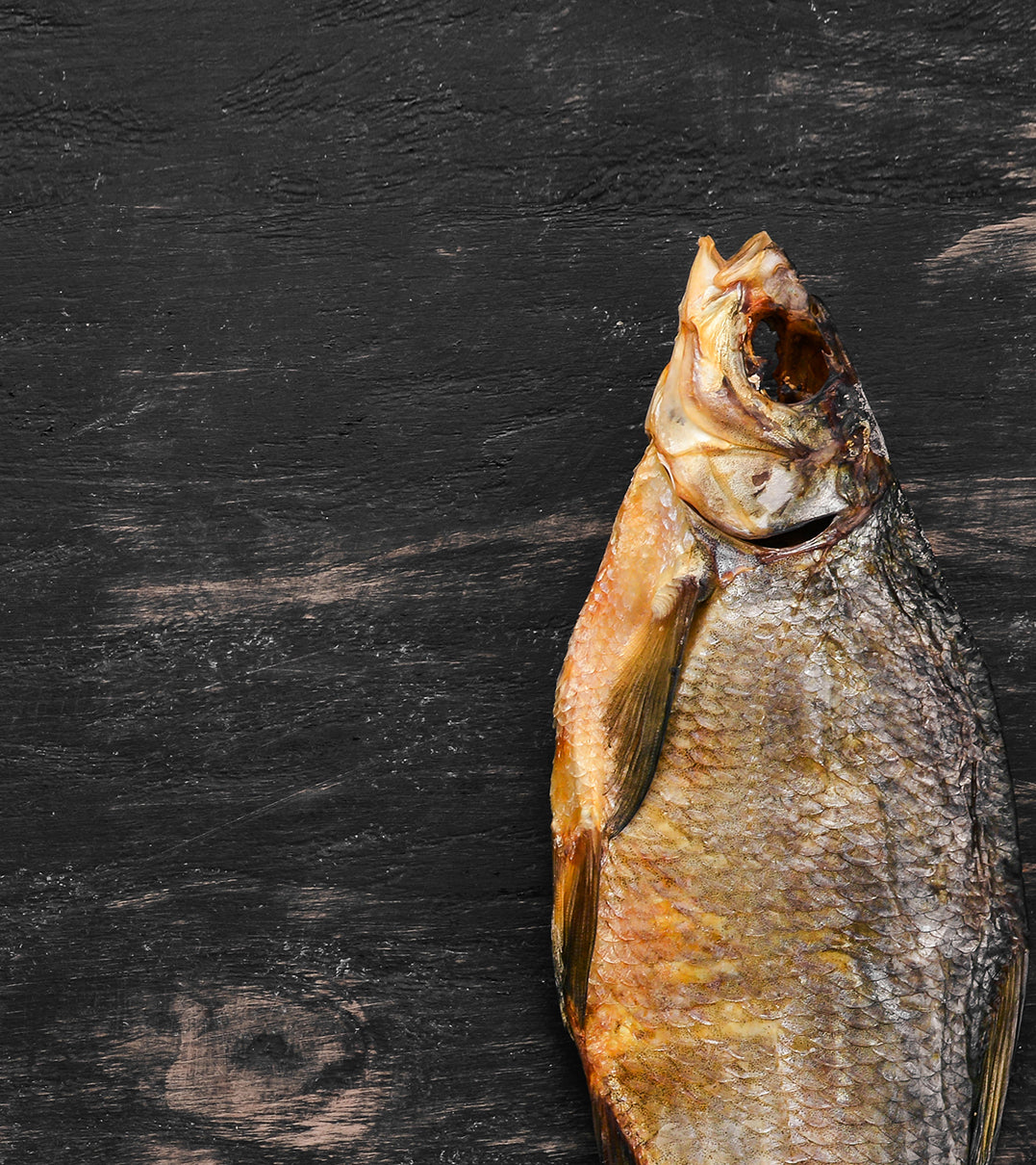 Canvastavla - Fish