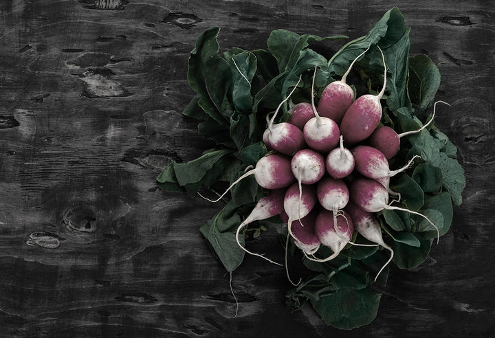 Canvastavla - Radish