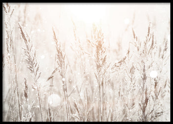 Poster - Spring Mornings