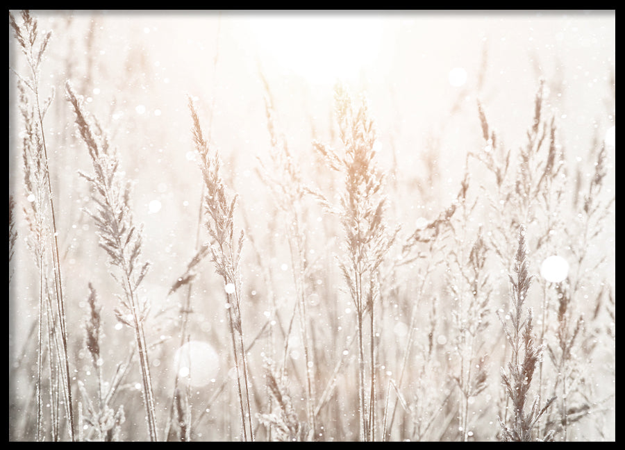 Poster - Spring Mornings