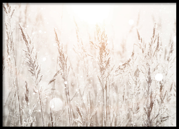 Poster - Spring Mornings