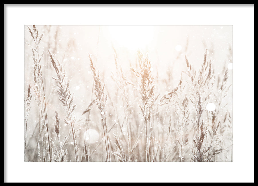 Poster - Spring Mornings