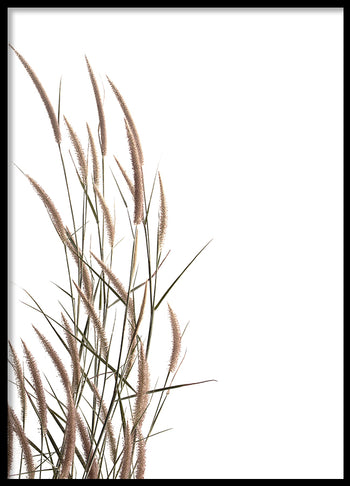 Poster - Rumput