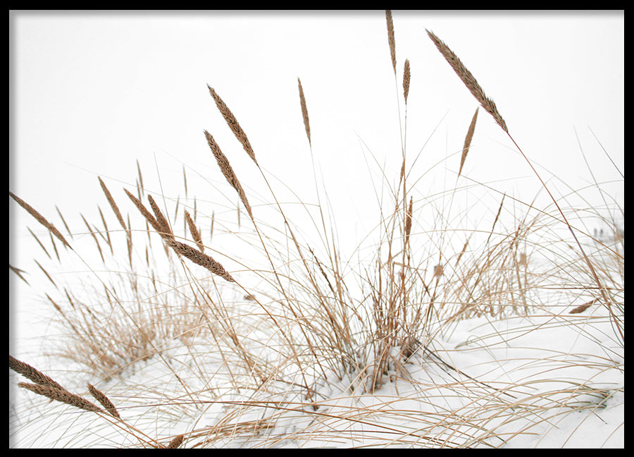 Poster - Baltic Sea