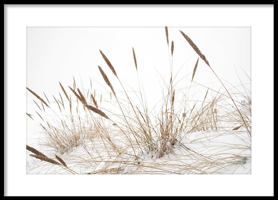 Poster - Baltic Sea