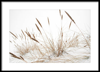 Poster - Baltic Sea