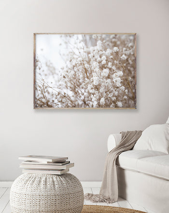 Poster - Dried flowers