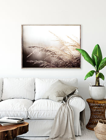 Poster - Beach grass