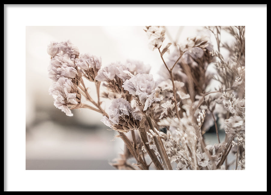 Poster - Dry purple flower