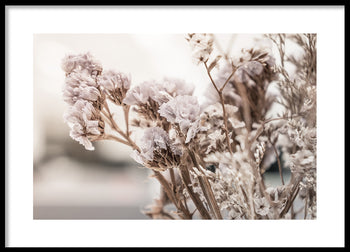 Poster - Dry purple flower