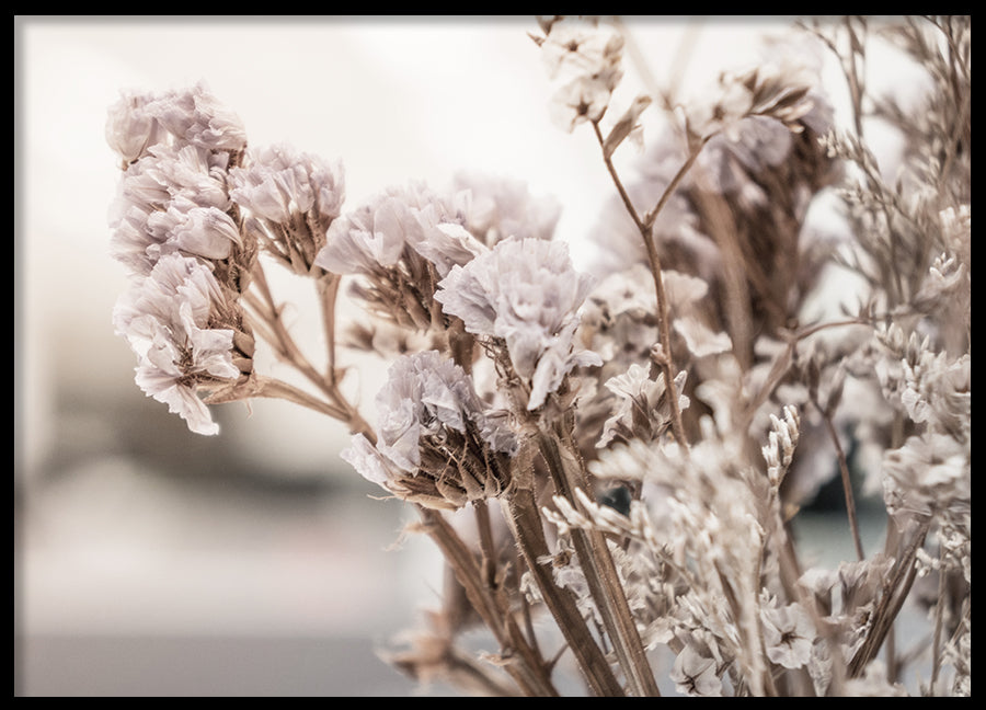 Poster - Dry purple flower