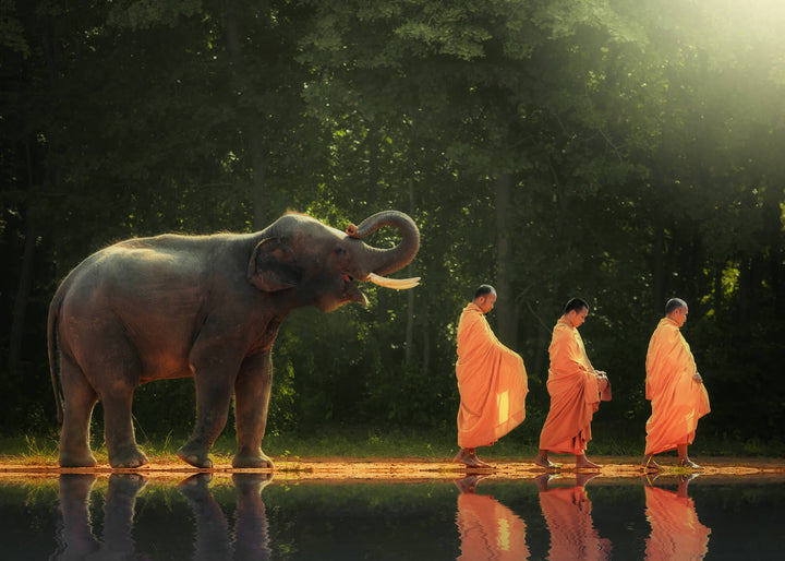 Canvastavla - Journey in Stillness