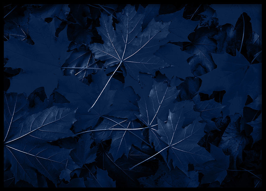 Poster - Blue Maple