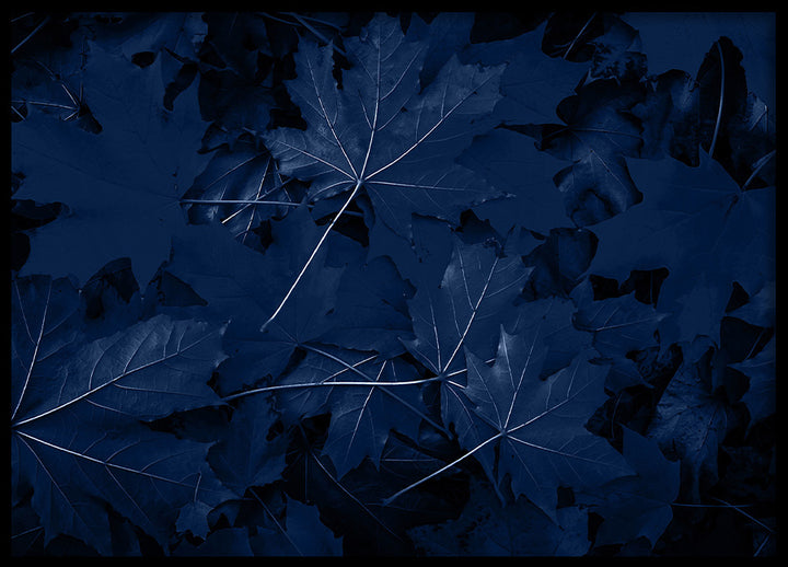 Poster - Blue Maple