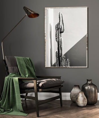 Poster - Cactaceae