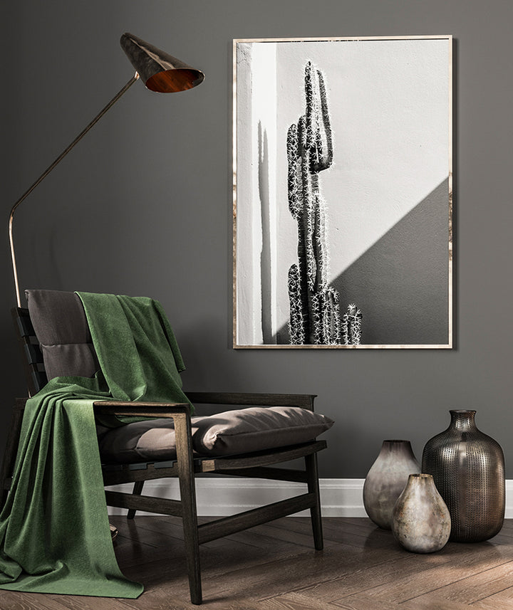 Poster - Cactaceae