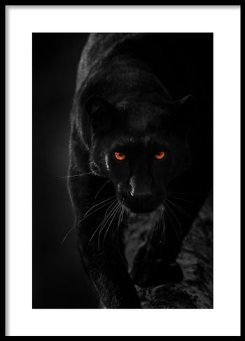 Poster - Hunter