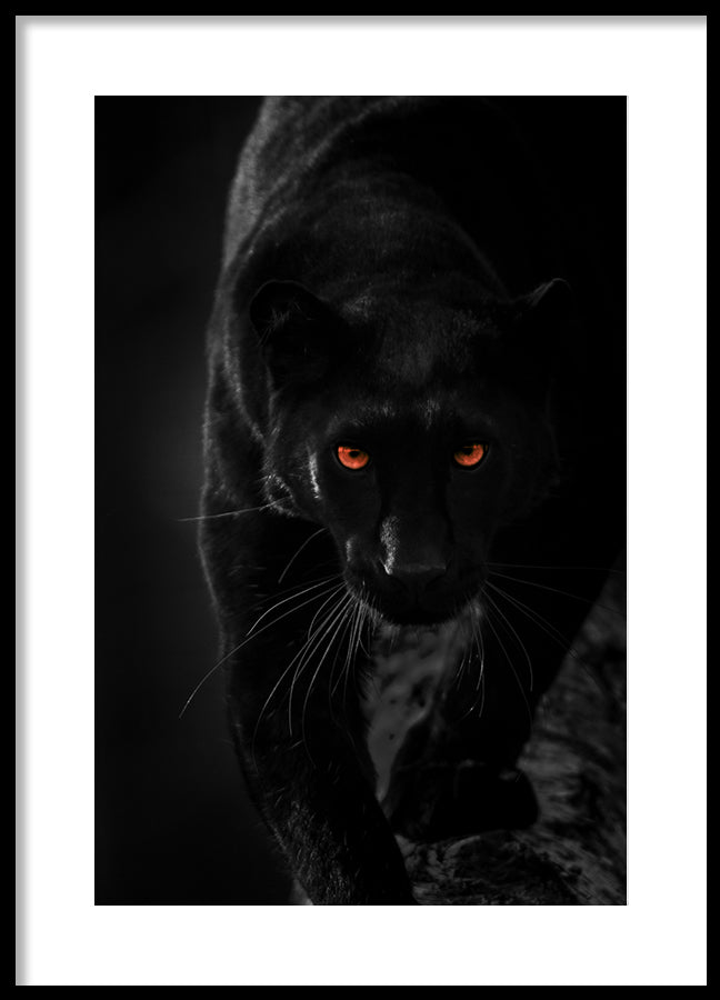 Poster - Hunter