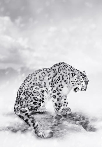 Canvastavla - Predator