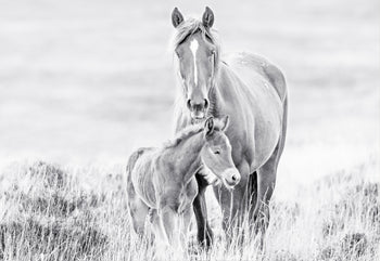 Canvastavla - Father & Son