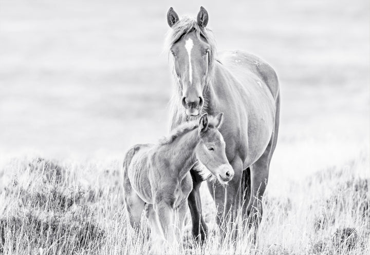Canvastavla - Father & Son