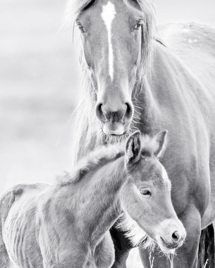Canvastavla - Father & Son