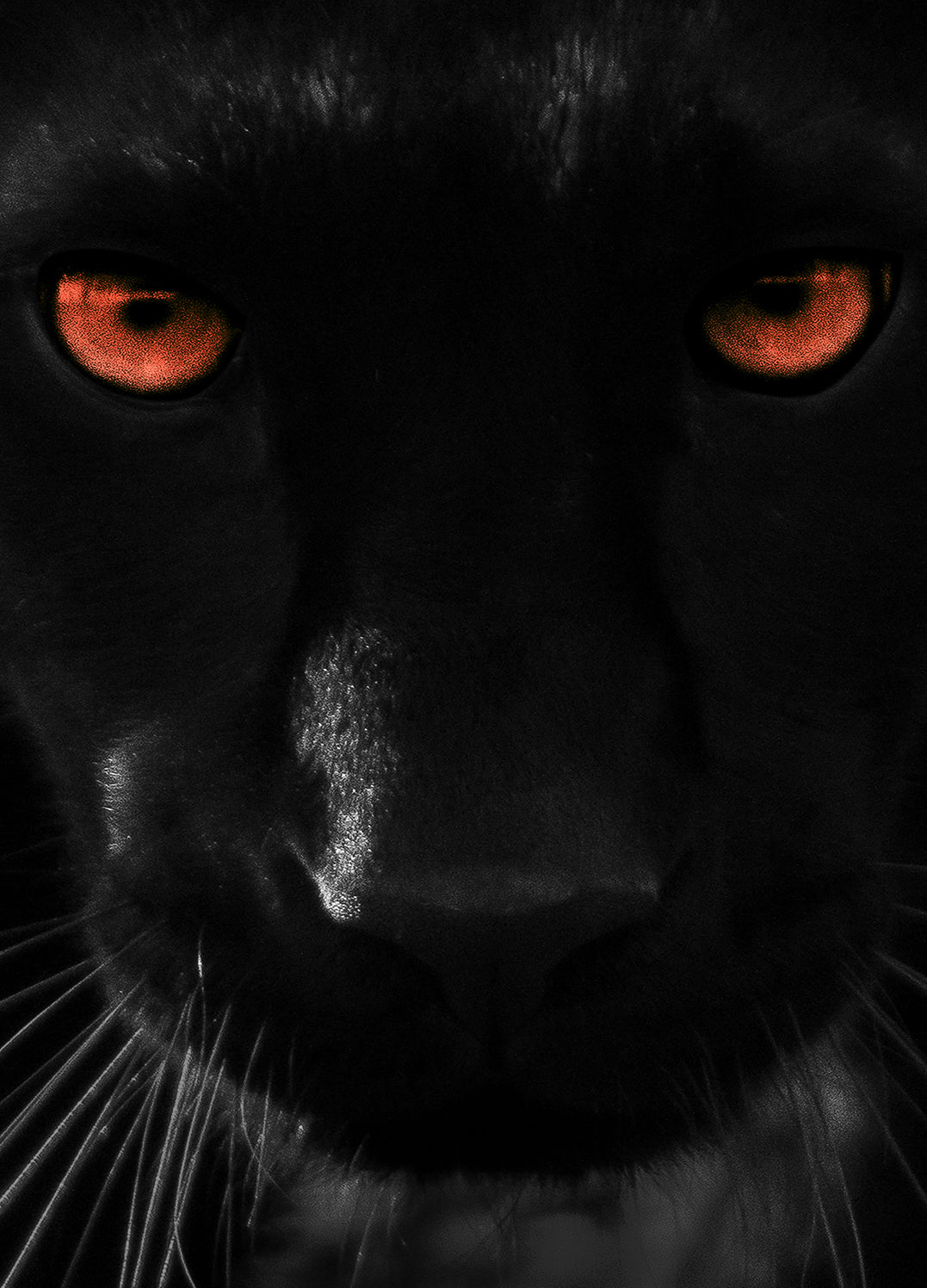 Canvastavla - Hunter