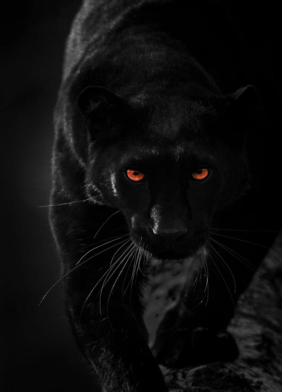 Canvastavla - Hunter