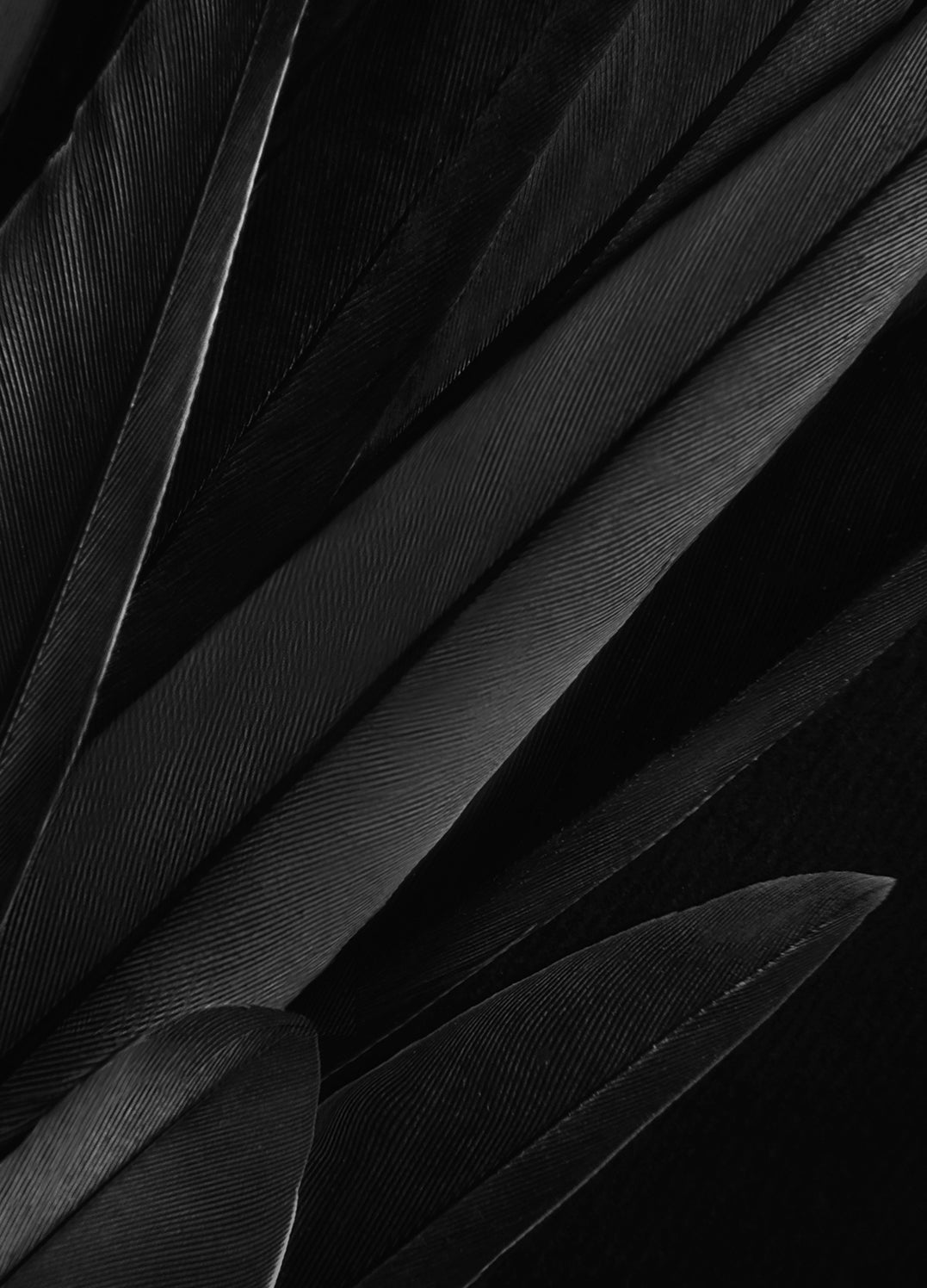 Canvastavla - Quills