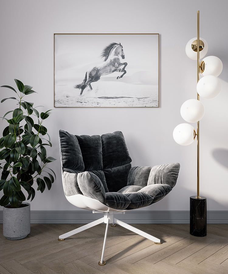 Poster - Galopp