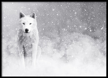 Poster - Storm
