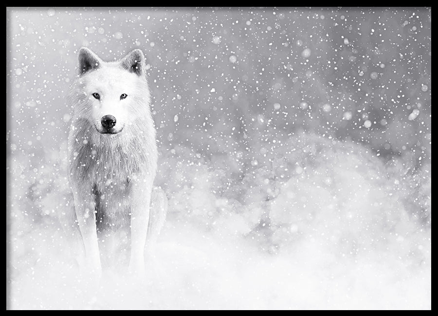 Poster - Storm