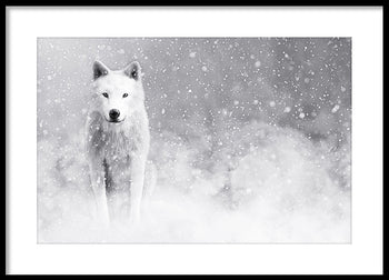 Poster - Storm