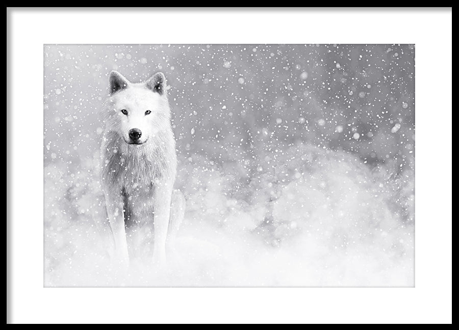 Poster - Storm
