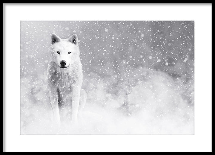 Poster - Storm