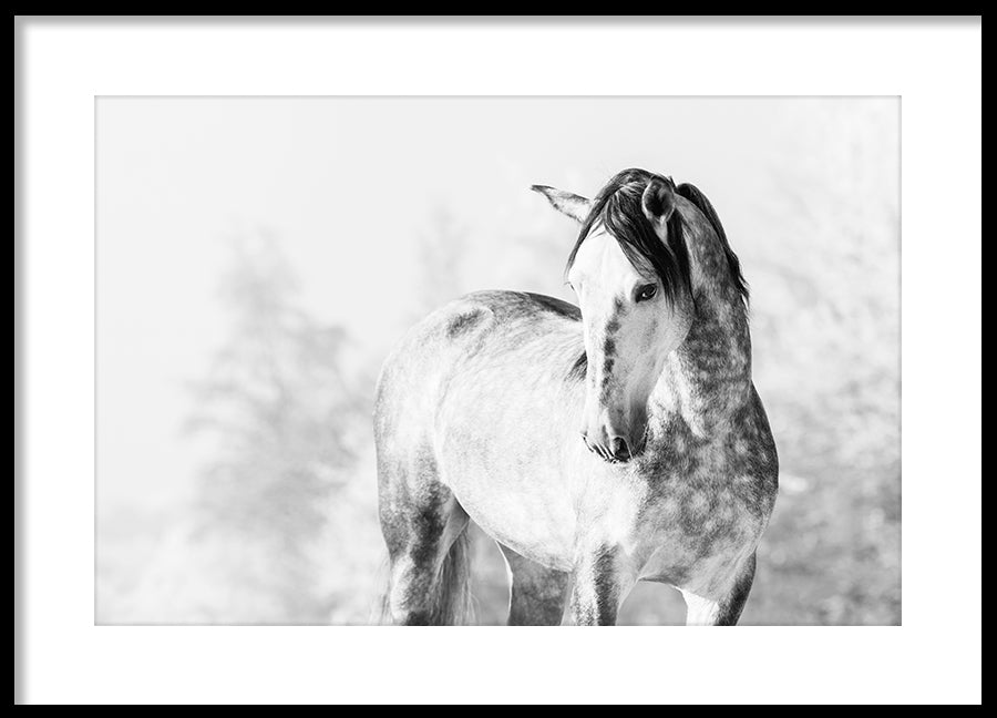 Poster - Grey