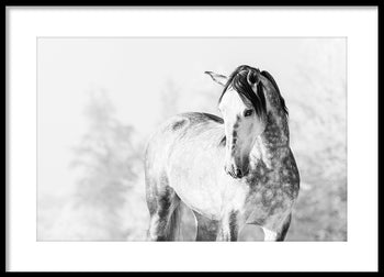 Poster - Grey