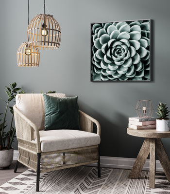 Poster - Pereskia