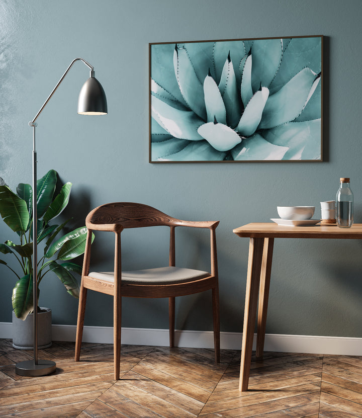 Poster - Aloe