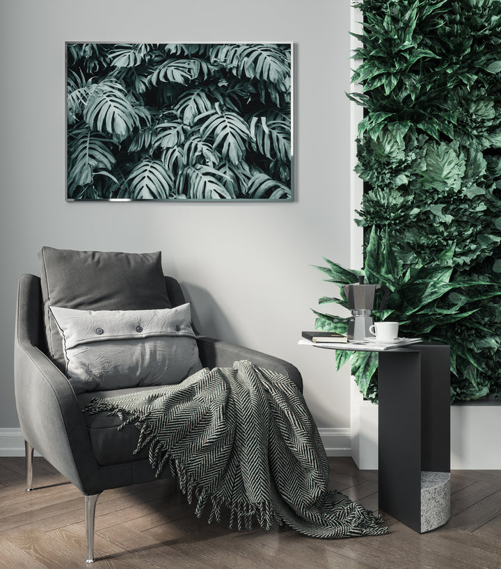 Poster - Rainforest