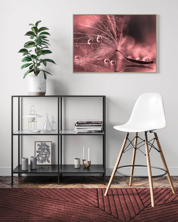 Poster - Plume