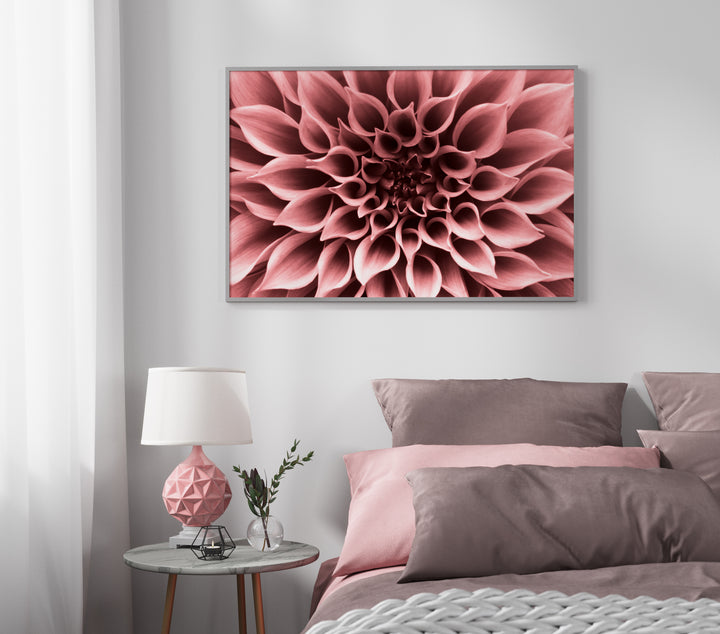 Poster - Perennials