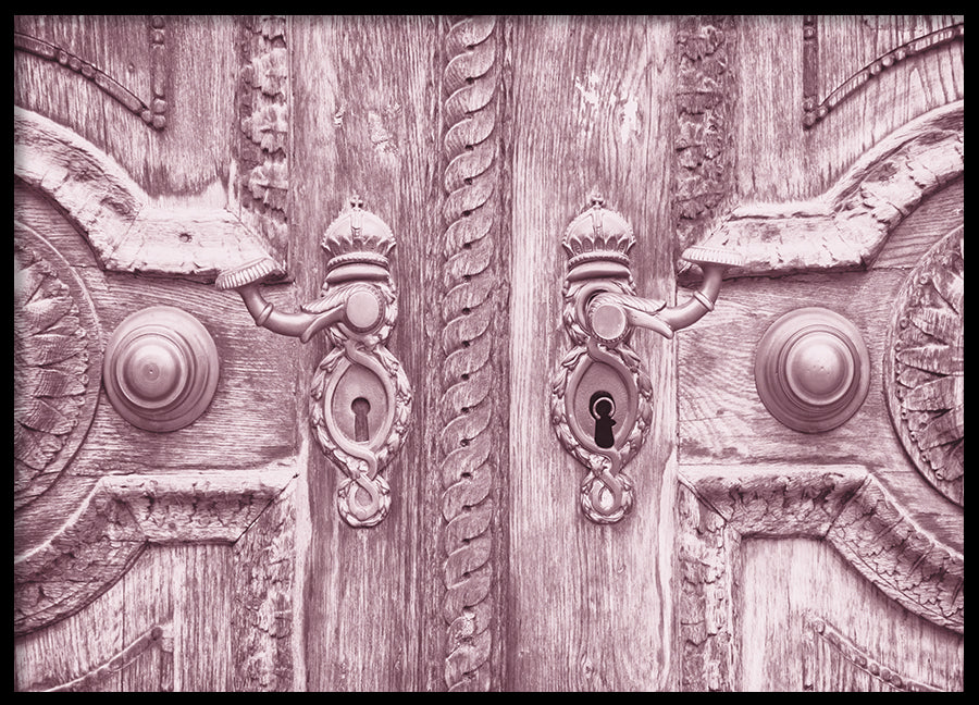 Poster - Pink Door
