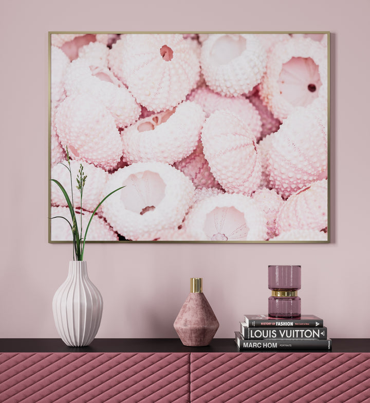 Poster - Corals