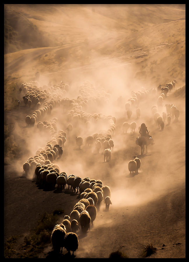Poster - Walk in the Dawn
